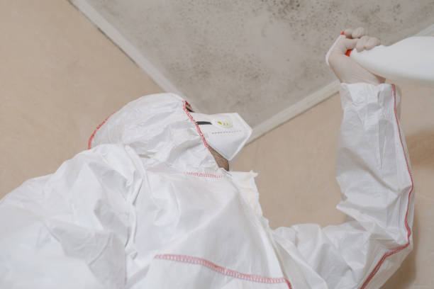 Best Bathroom Mold Remediation in Naples, UT